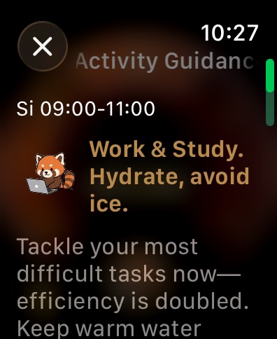 Red Panda Activity Guide